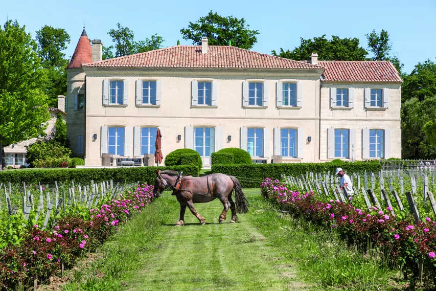 Chateau Troplong Mondot